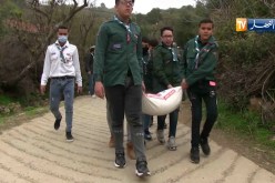 بجايةّ: توزيع 10 طن من القمح اللين على عائلات معوزة بمناطق الظل بأيث مليكش