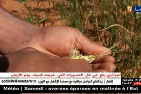 عين صالح/ تجارب فلاحية ناجحة لشباب فضل الإستثمار في منطقته