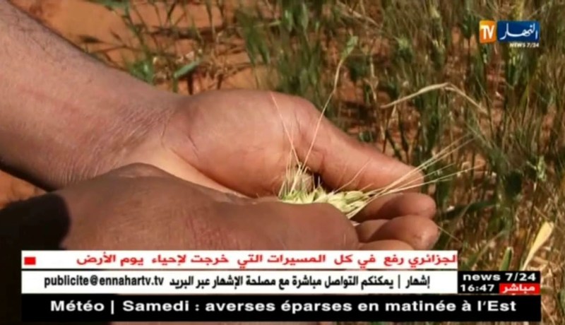 عين صالح/ تجارب فلاحية ناجحة لشباب فضل الإستثمار في منطقته