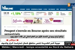 إرتفاع أرباح بيجو في النصف الأول من العام الحالي إلى 1.48 مليار دولار