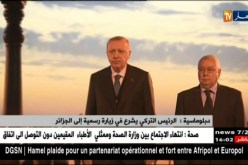 دبلوماسية: الرئيس التركي يشرع في زيارة رسمية إلى الجزائر