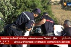 حصيلة مروّعة لإرهاب الطرقات خلال شهر أفريل على مستوى القطر الوطني