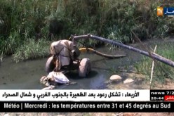 فلاحة: السقي بالمياه القذرة.. وزارة الفلاحة تطمئن
