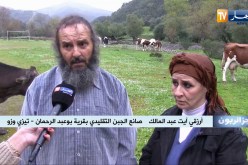 جزائريون: جبن تقليدي بمقاييس عالمية من صنع أيادي جزائرية
