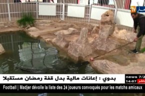 سطيف: حديقة الحيوانات تتدعم بتمساحين من نوع Alligator de Mississippi