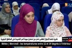مجتمع: دورات تأهيل الأزواج.. خطوة لحماية الأسرة