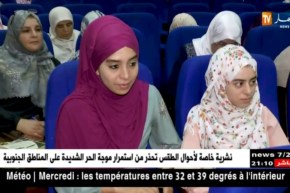 مجتمع: دورات تأهيل الأزواج.. خطوة لحماية الأسرة