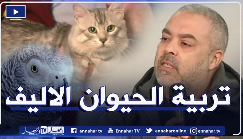 ثقافة تربية الحيوانات الأليفة في المنازل