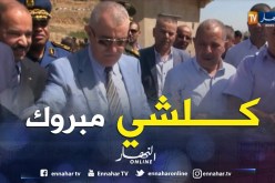 الشلف: وضع حجر الأساس لإنطلاق مشروع وحدة لإنتاج شتلات الحمضيات