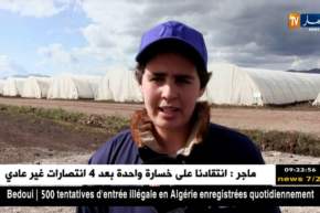 قالمة : وفرة في البطاطا الموسمية .. أهمّ ماحققته مزرعة “ريشي” ببلدية بلخير