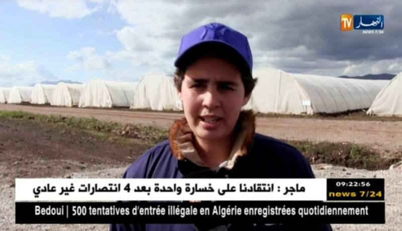 قالمة : وفرة في البطاطا الموسمية .. أهمّ ماحققته مزرعة “ريشي” ببلدية بلخير