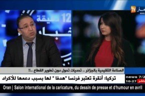 الصناعة التقليدية بالجزائر…تحديات تحول دون تطور القطاع !!