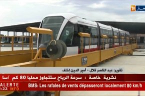 مصنع”سيتال عنابة”..قطب إقتصادي يطمح في التصدير للدول الإفريقية