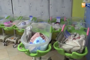 عين الدفلى: سيدة من خميس مليانة تنجب خمسة توائم