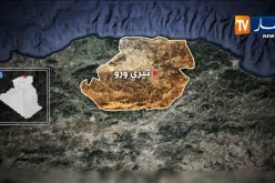 تيزي وزو: تفكيك شبكة إجرامية مختصة في تهريب المرجان