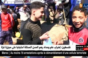 عين تموشنت : أطفال يجمعون السمك العالق ببواخر الصيد لكسب لقمة عيشهم