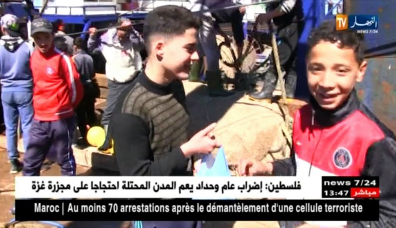 عين تموشنت : أطفال يجمعون السمك العالق ببواخر الصيد لكسب لقمة عيشهم