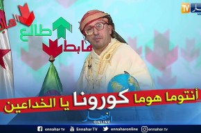 طالع هابط: شاهد فضيحة مشروع الإنارة العمومية في الطارف.. غير التبهدايل