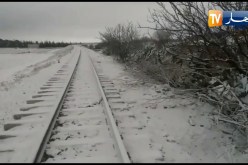 تساقط كثيف للثلوج في عين الحجر ولاية سعيدة