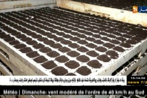 فلاحة/ مشاتل حسناوي…نموذج فلاحي ناجح