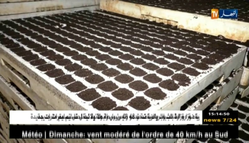 فلاحة/ مشاتل حسناوي…نموذج فلاحي ناجح