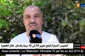 البليدة/ فلاحو متيجة يستبشرون خيرا بمحصول البرتقال هذا العام