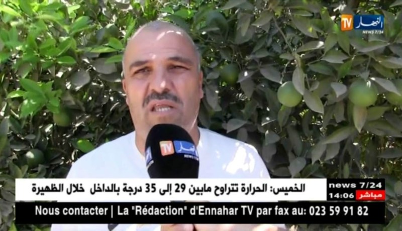 البليدة/ فلاحو متيجة يستبشرون خيرا بمحصول البرتقال هذا العام