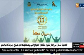 وزير الثقافة يعاتب محافضة وهران بسبب الملصق الخاص بالتظاهرة