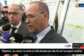 ميلة: وزير الفلاحة يعلن توقيف استيراد الثوم في آفاق 2019