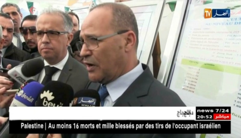 ميلة: وزير الفلاحة يعلن توقيف استيراد الثوم في آفاق 2019