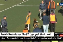 حين تغيب المتعة في كرة القدم الجزائرية يحضر “كلب” يداعب الكرة