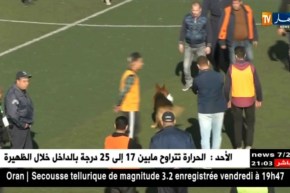 حين تغيب المتعة في كرة القدم الجزائرية يحضر “كلب” يداعب الكرة