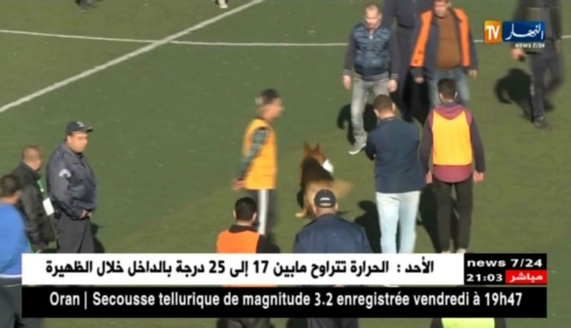 حين تغيب المتعة في كرة القدم الجزائرية يحضر “كلب” يداعب الكرة