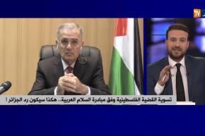 تسوية القضية الفلسطينية وفق مبادرة السلام العربية..هكذا سيكون رد الجزائر