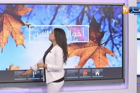 طقس: تنبيه بهبوب رياح بسرعة تصل إلى 60 كلم  سا على السواحل الوسطى والشرقية بداية من فجر الخميس