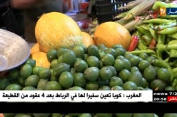 تجارة: حركة التسوق جد عادية.. وإشاعة الخضر المسببة للكوليرا تتهاوى