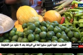 تجارة: حركة التسوق جد عادية.. وإشاعة الخضر المسببة للكوليرا تتهاوى