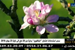 زاوية الظل/ أرض خصبة بين أيادي جرداء.. ترقبوها أمسية اليوم على الساعة 22:30