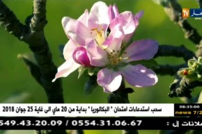 زاوية الظل/ أرض خصبة بين أيادي جرداء.. ترقبوها أمسية اليوم على الساعة 22:30