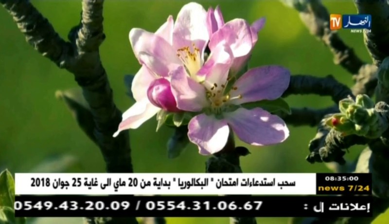 زاوية الظل/ أرض خصبة بين أيادي جرداء.. ترقبوها أمسية اليوم على الساعة 22:30