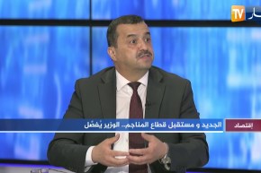 52 دقيقة إقتصاد: الثروة المنجمية.. خزّان الجزائر للنهوض بالإقتصاد