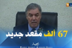 الطاهر حجار: “إستلام أكثر من 67 ألف مقعد جديد خلال الموسم الجامعي القادم”