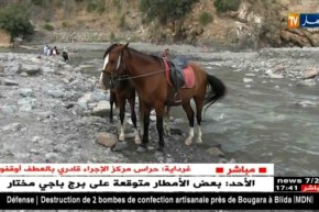 البليدة: العائلات تجعل من حمام ملوان قبلتها المفضلة بدلا عن أماكن أخرى