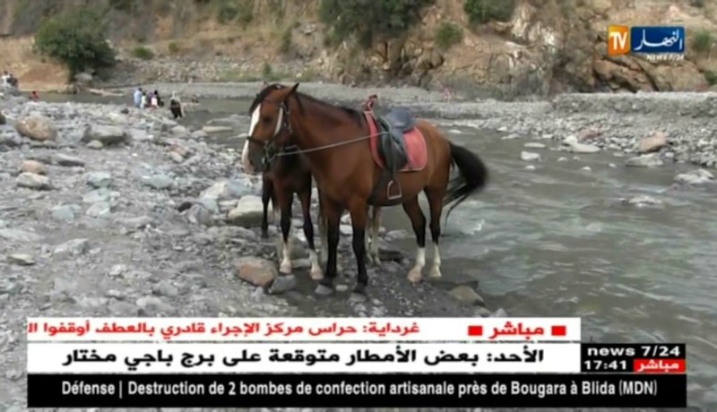 البليدة: العائلات تجعل من حمام ملوان قبلتها المفضلة بدلا عن أماكن أخرى