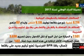 هذه هي حصيلة الدرك الوطني لسنة 2017