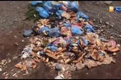 “النهار” تنقل مشاهد صادمة لسلوكيات بعض المصطافين على خليج بربجاني بتلمسان