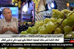 الكوليرا تحدث ركودا في سوق الخضر والفواكه.. مواطنون متخوفون !