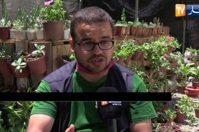 مجتمع: تجربة ناجحة في غرس أندر أنواع النباتات العالمية