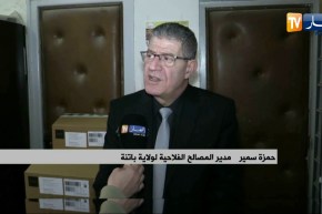 باتنة: توزيع أولى كميات اللقاح المضاد لطاعون المجترات الصغيرة