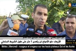 زطشي يتريث لتفادي أخطاء الماضي